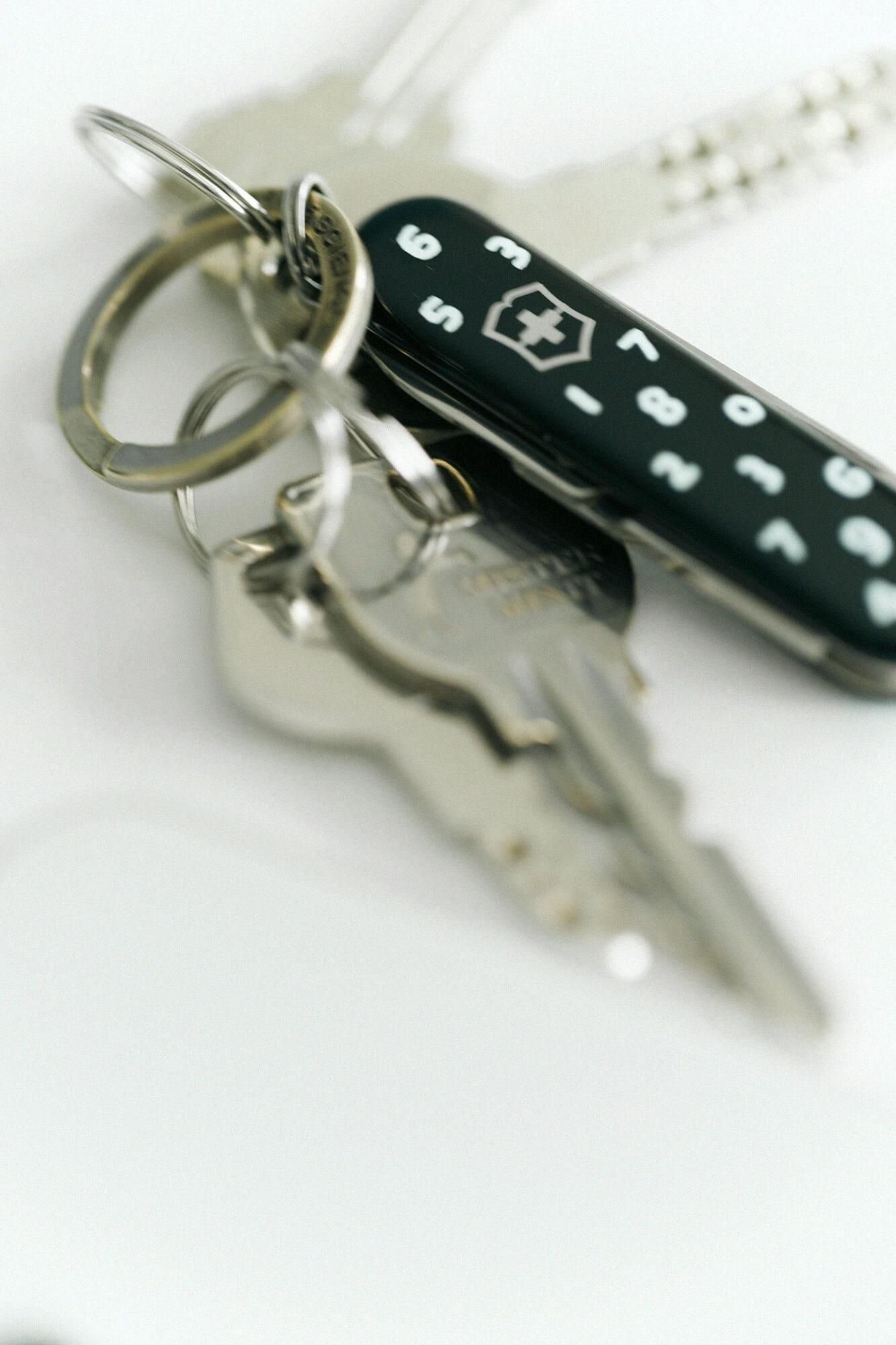 ソウソウ　SOU・SOU たしなみ SOU・SOU×VICTORINOX／SO-SU-U濡羽色