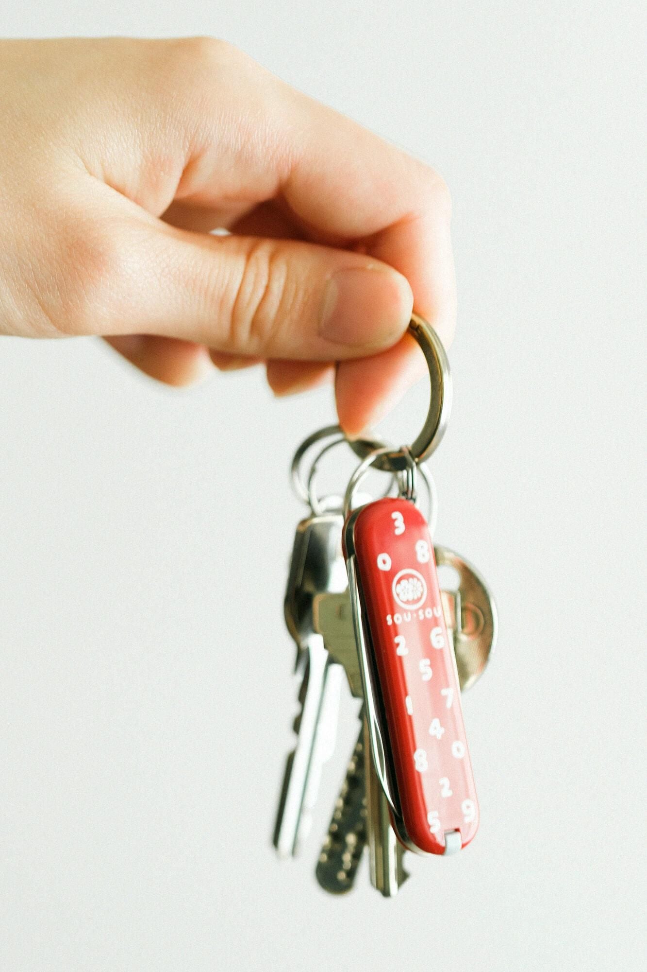 Manieren SOU・SOU×VICTORINOX／SO-SU-UPurpur