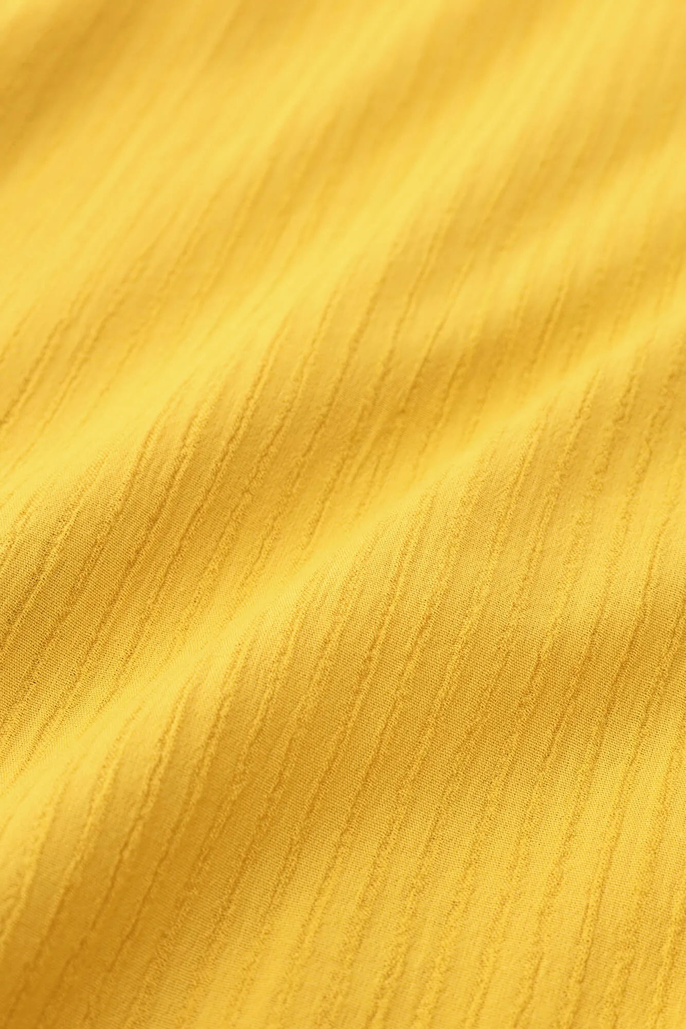 Réduction Takashima 40/20 plumes d’oie vierge (akiba) vêtement à quatre pans (shikaku-gi) / couleur dorée chat (kanariairo) 