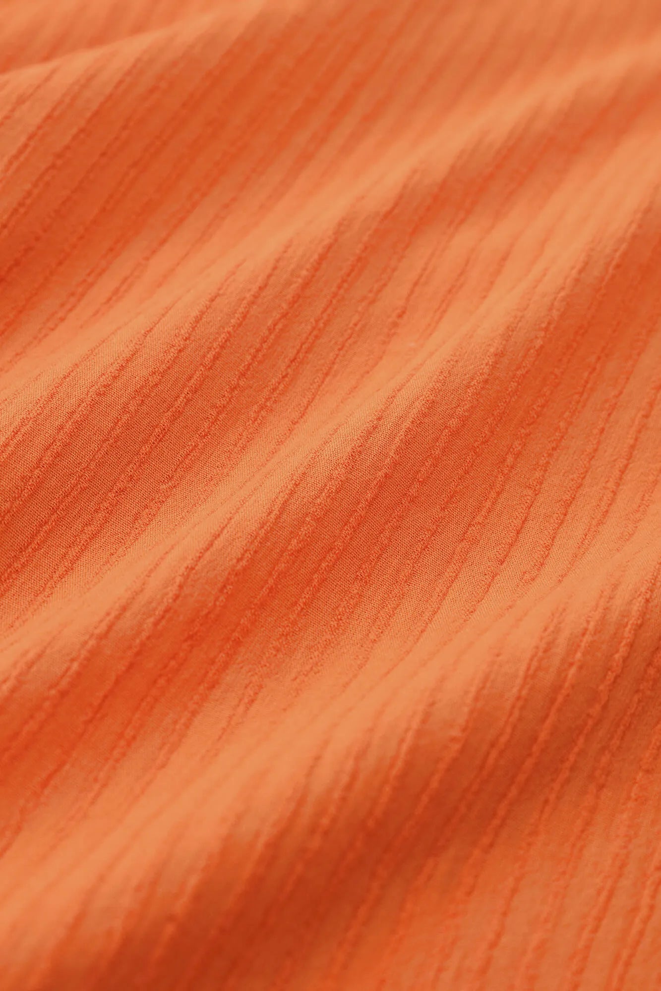 Takashima Shuku 40/20 Sora-Hane (Akiha) Shikakui / Akadaidai 