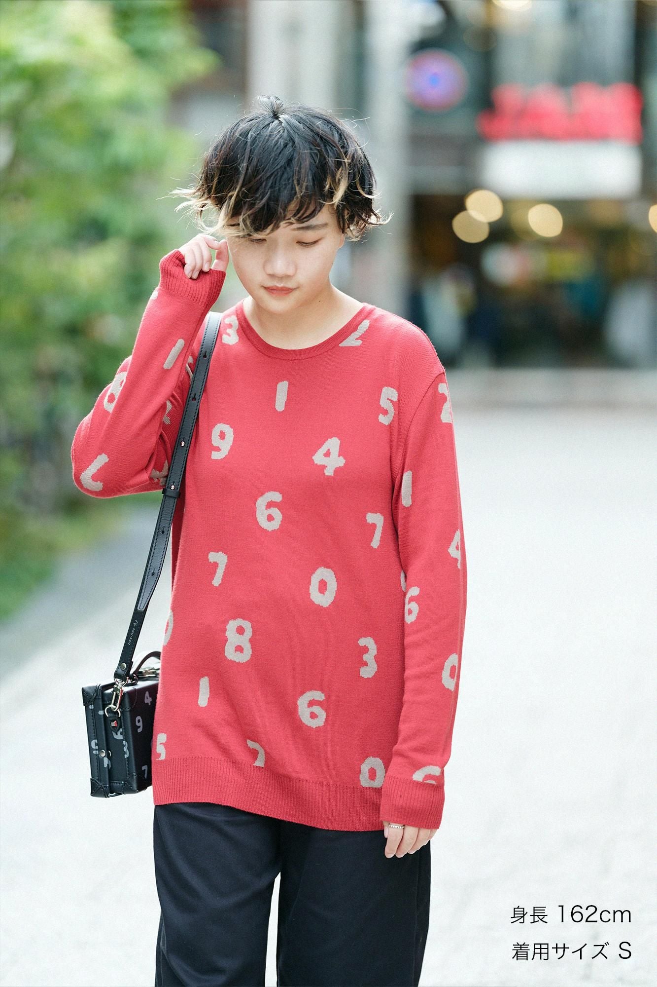 Super 140's Jacquard-Strickpullover mit Rundhalsausschnitt/SO-SU-U Dunkelbraun