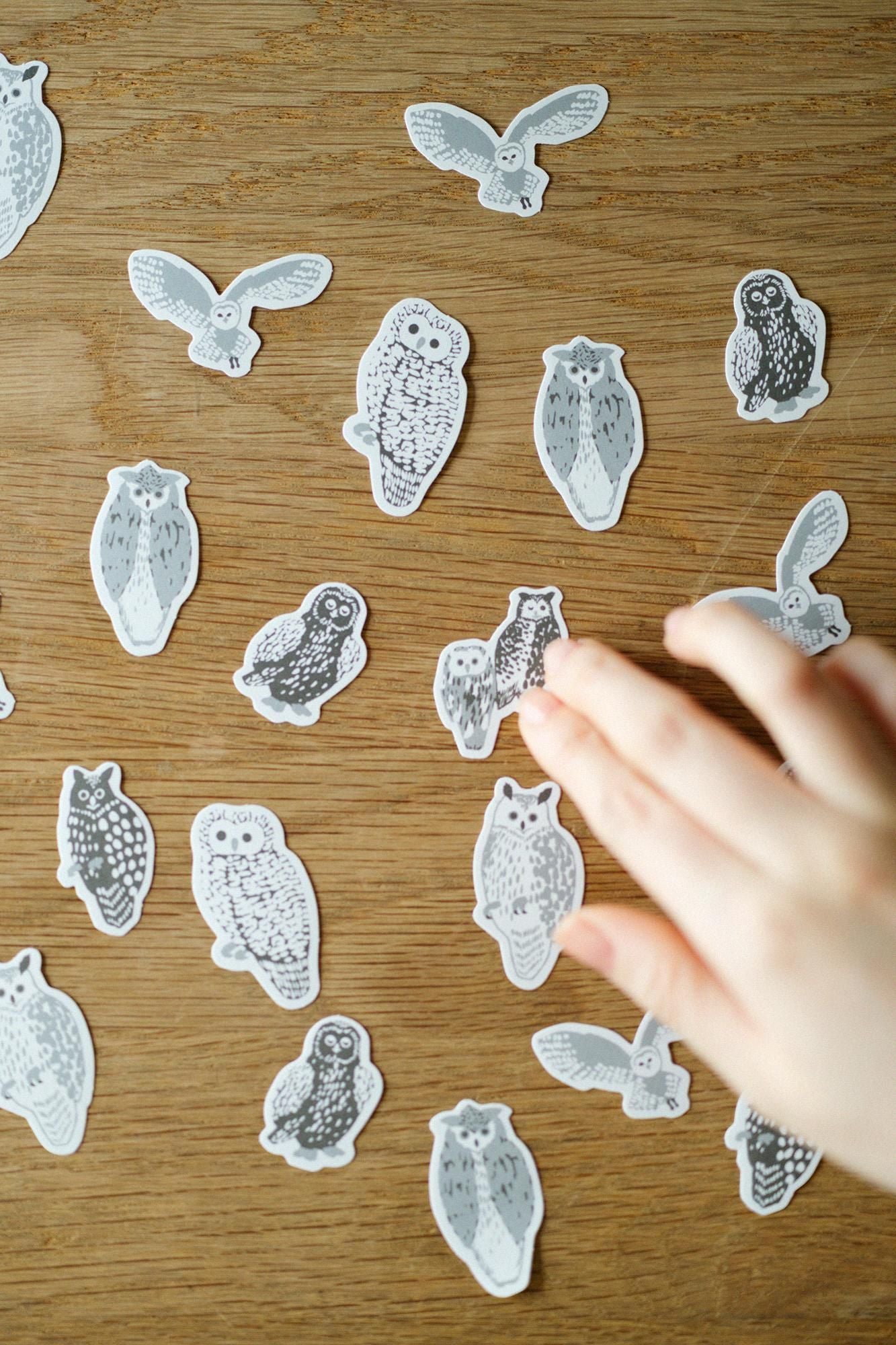 SOU・SOU×PHP研究所 フレークシール／ふくろう