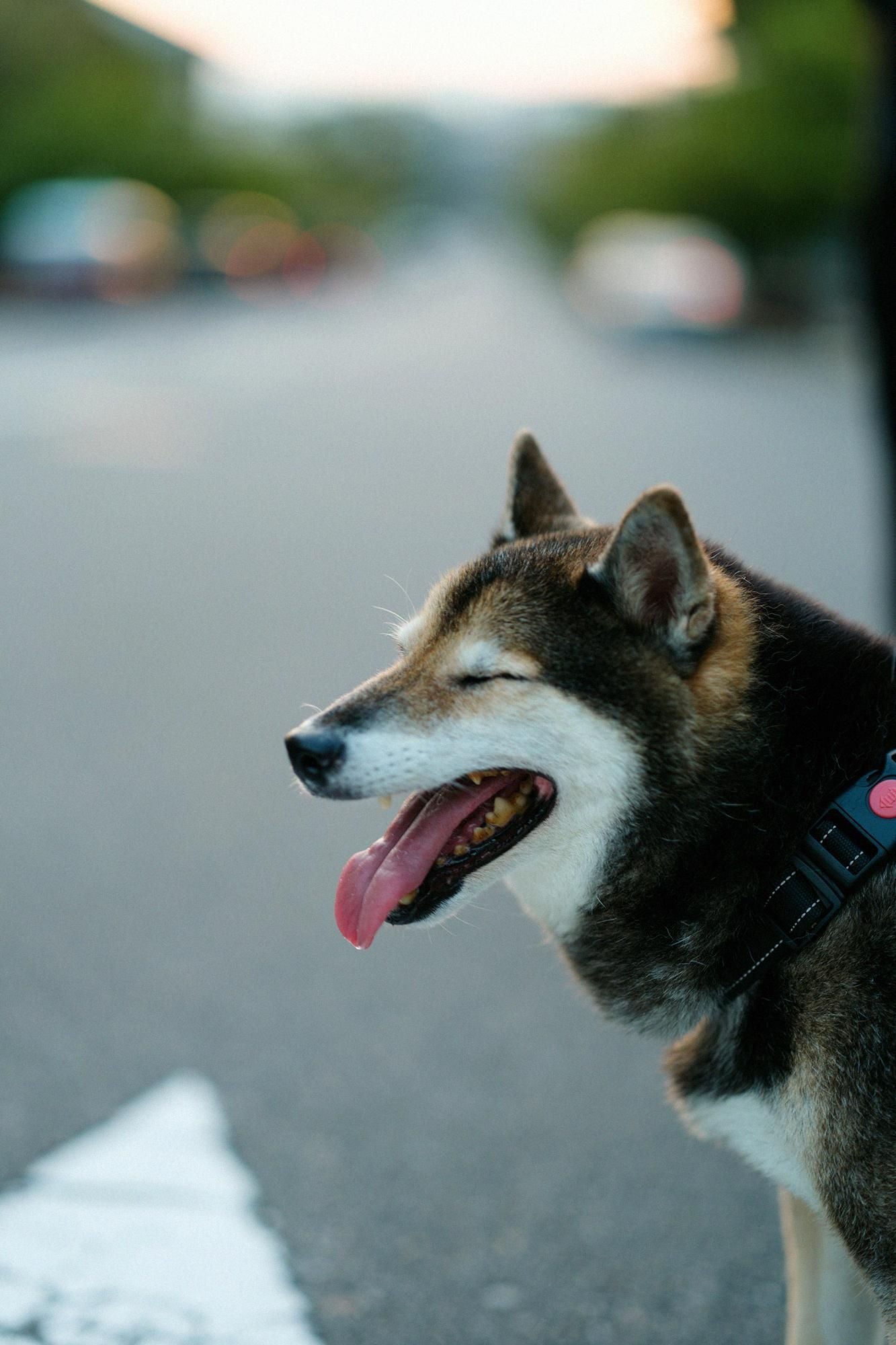 타카시마치지미 20/10 피크 엠보스 이지 테이퍼드 팬츠／검은색