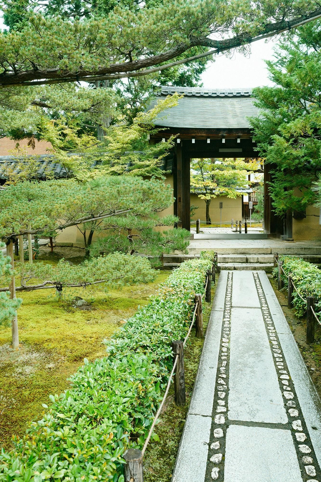 Édition Kersey Naginata karabaori (Nagina karabaori) Remplissage (Nakawataawase) / Tobi (Tobi) Gris chiné (Mokuhai)