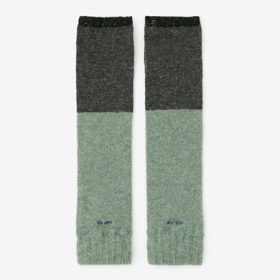 安哥拉猫混种 Kote/Kozumi