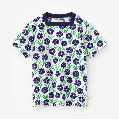 ●Hifujiban/Yamato Nadeshiko