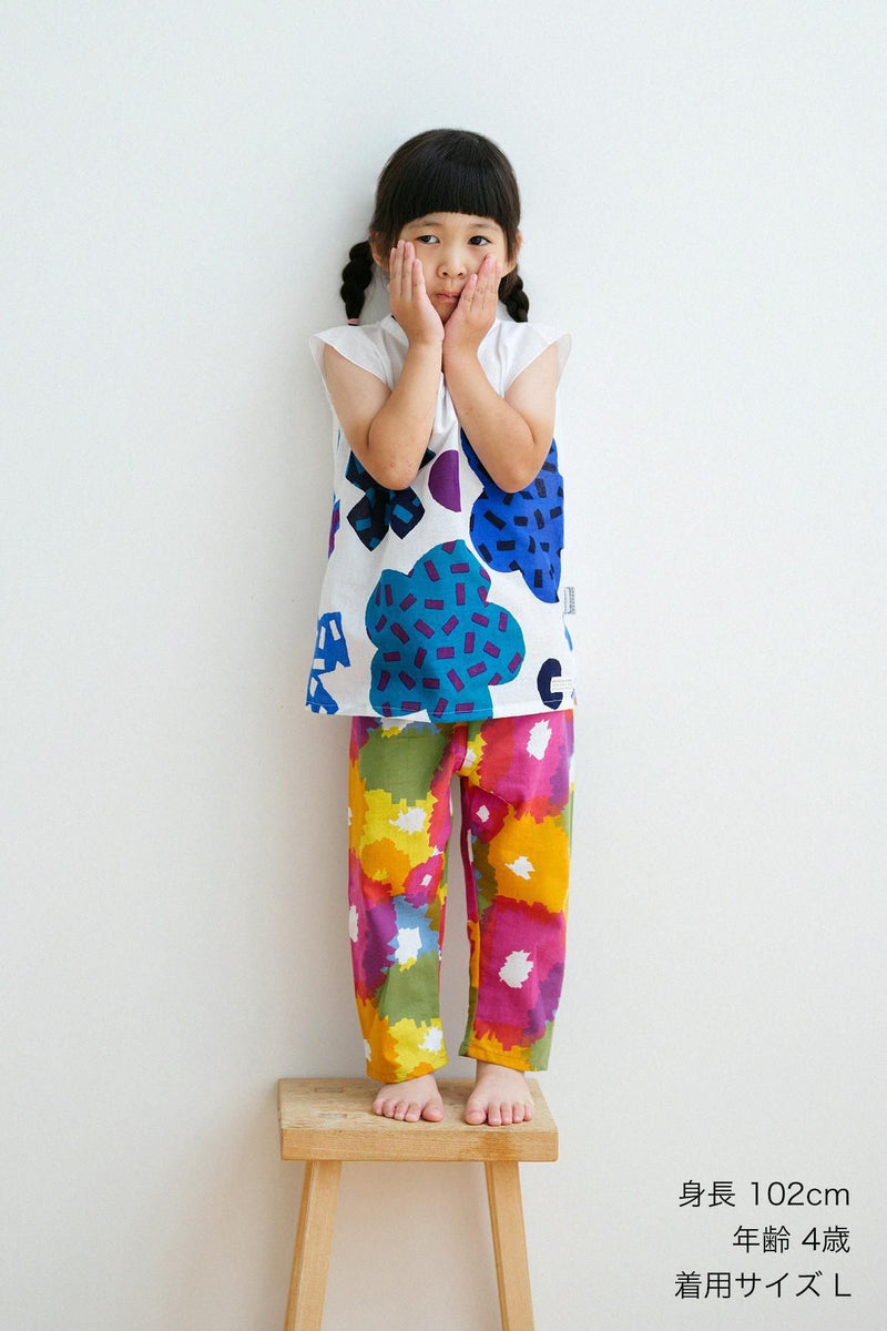 いせもめん しかくい だい