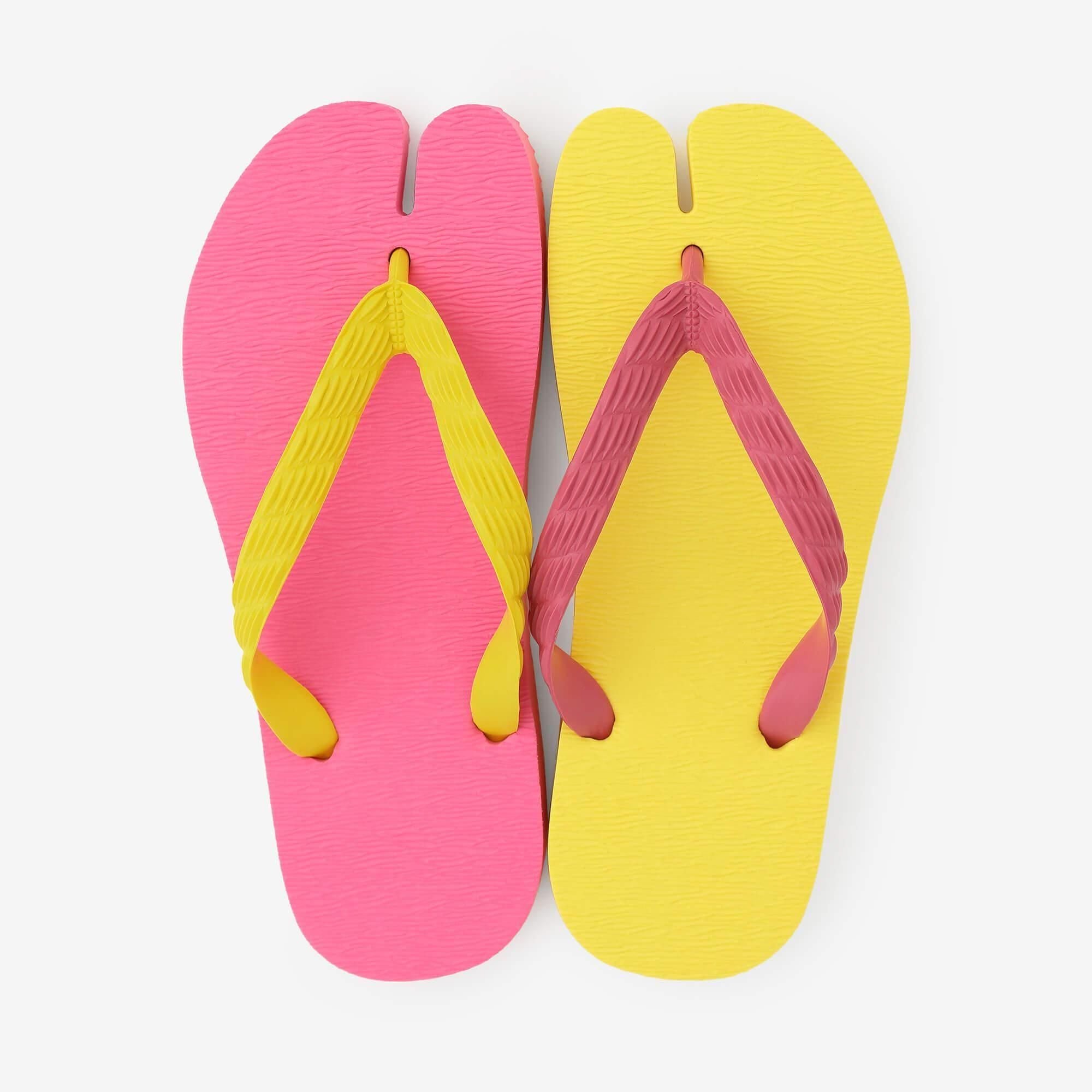 ●儿童节/植物学iro x kiiro