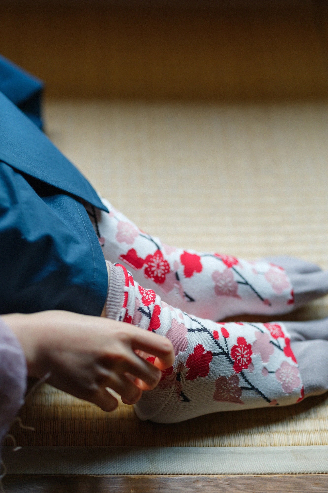 Tabi Socks (Mid-calf)／Plum Grove Bush-warbler【Men・Women】
