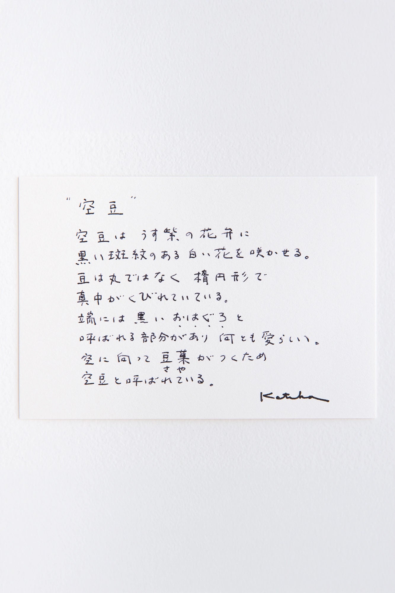 伊勢木棉圖案紋樣手巾／蠶豆