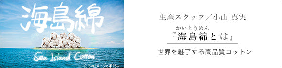 110雙線 超長棉 半衿V領上衣長袖／黑色