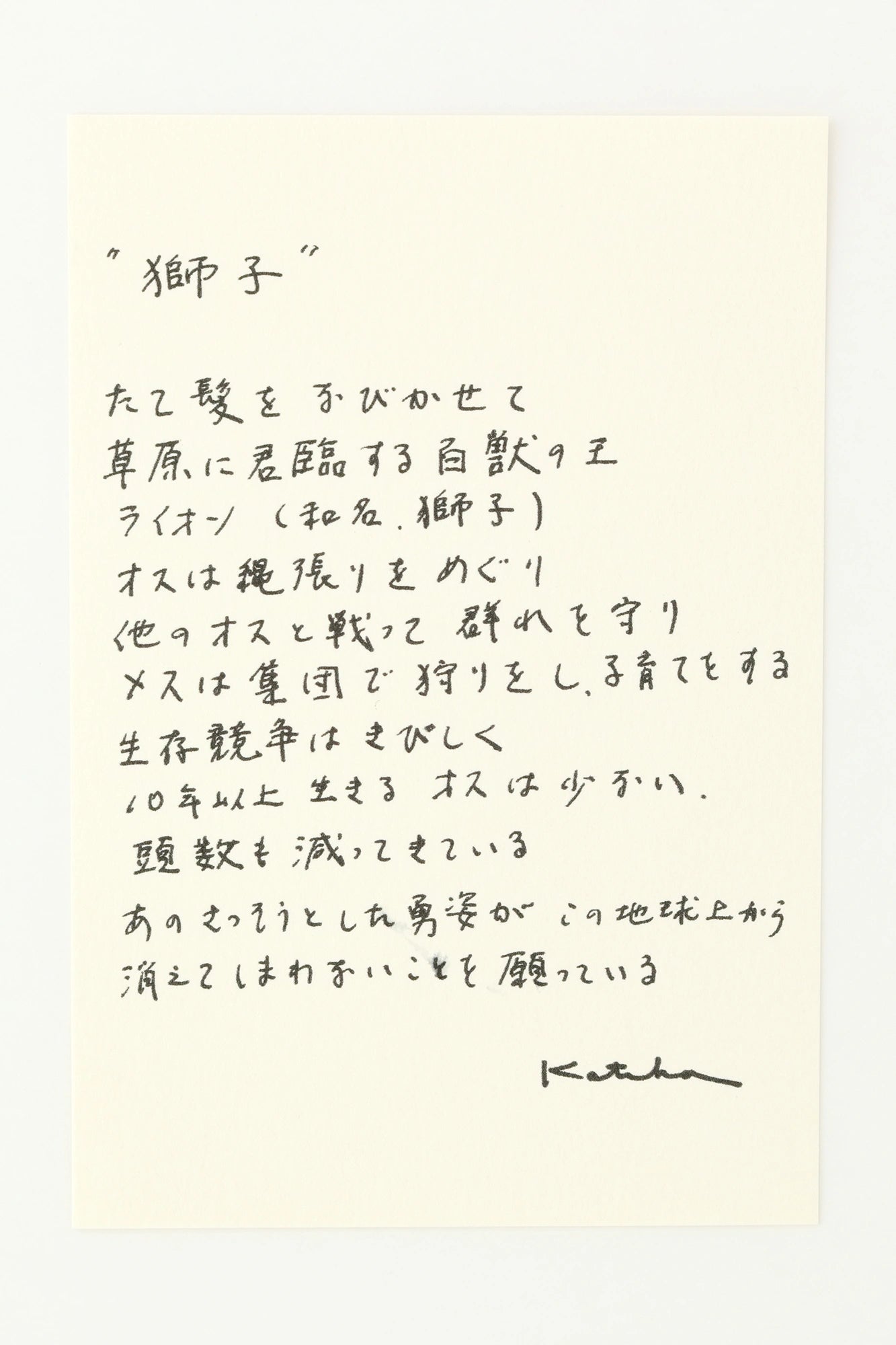 伊勢木棉圖案紋樣手巾／獅子