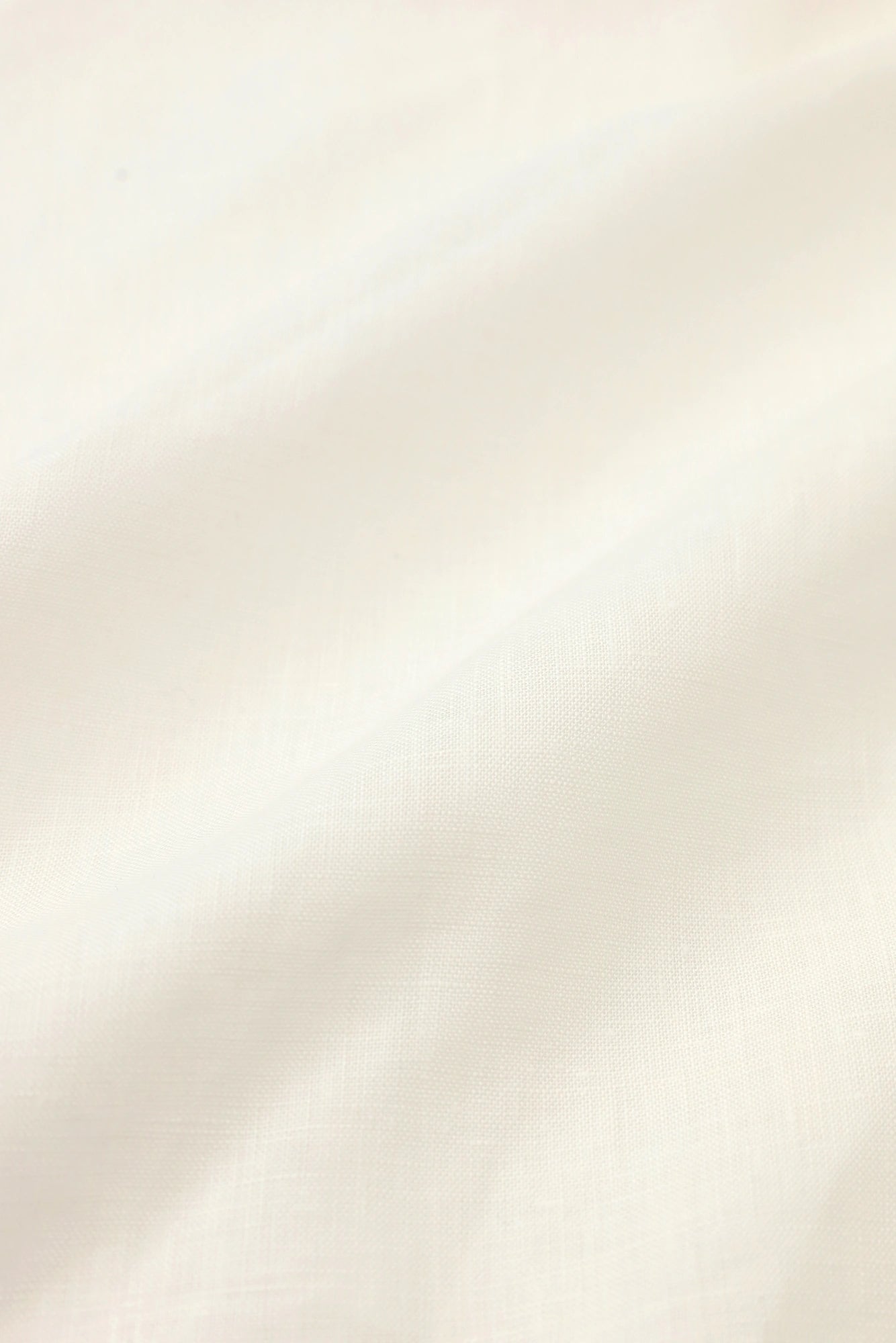  Asa Kisara-gi Kurz (Mijikatake) / Tsukumo 