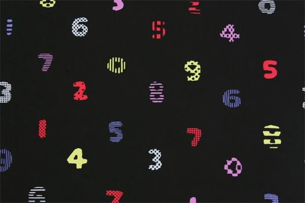 Textile selling (No. 8 sailcloth)/SOU・SOUKyoto GionFestive)＜50cm＞