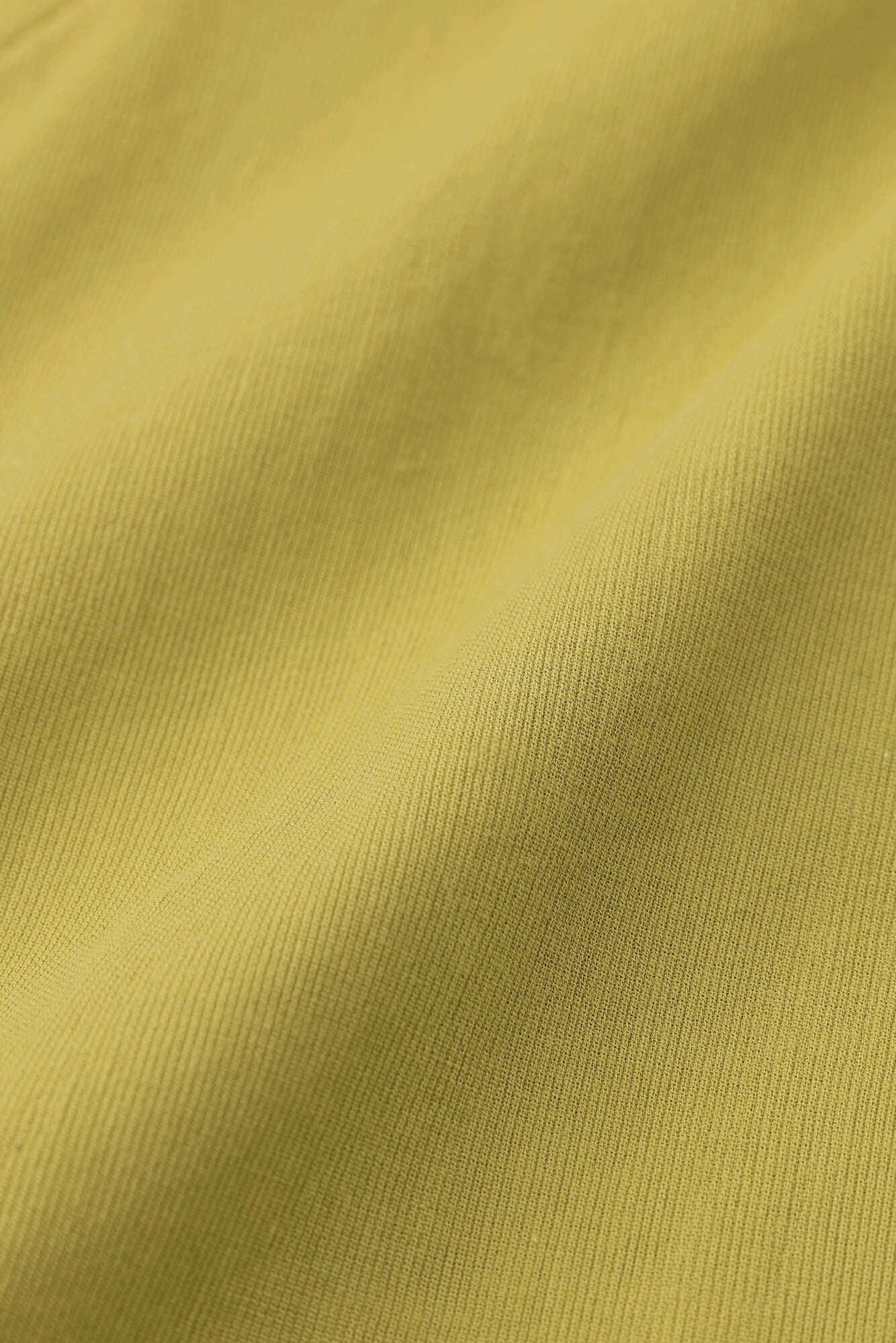 Takashima Chijimi 40/40 Jibang-Halsband, sechsviertel lang/Weidenfarbe