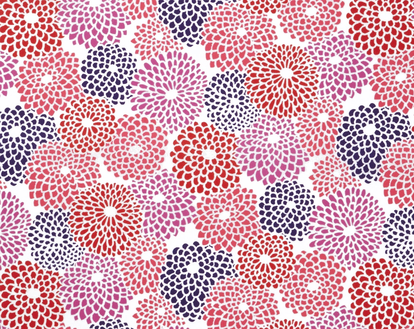 【1-3ヶ月後発送】SOU・SOU×Coccole Craftool スツール／菊づくし つくも