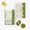 Itoken×SOU・SOU / Moist Chocolate Sablé Uji Matcha×White Chocolate (Box of 5 pcs)