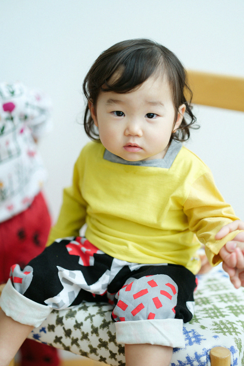 ひふじばん 十分丈