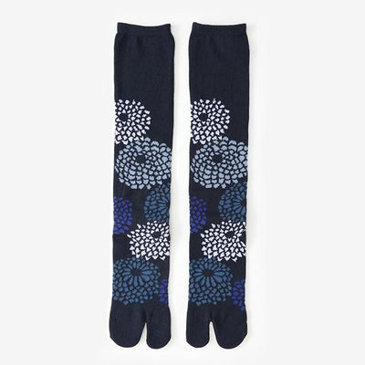 在Tabi（膝盖下方） / Chrysanthemum Shoko（Shokon）下[女性]