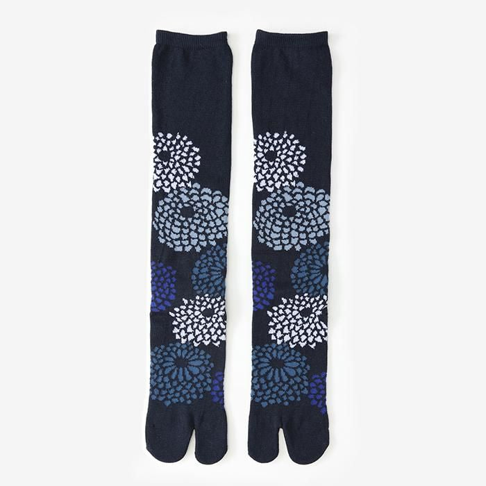 在Tabi（膝盖下方） / Chrysanthemum Shoko（Shokon）下[女性]