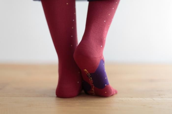 Tabi Socks（Under Knee）／Risshun Nandina【Women】