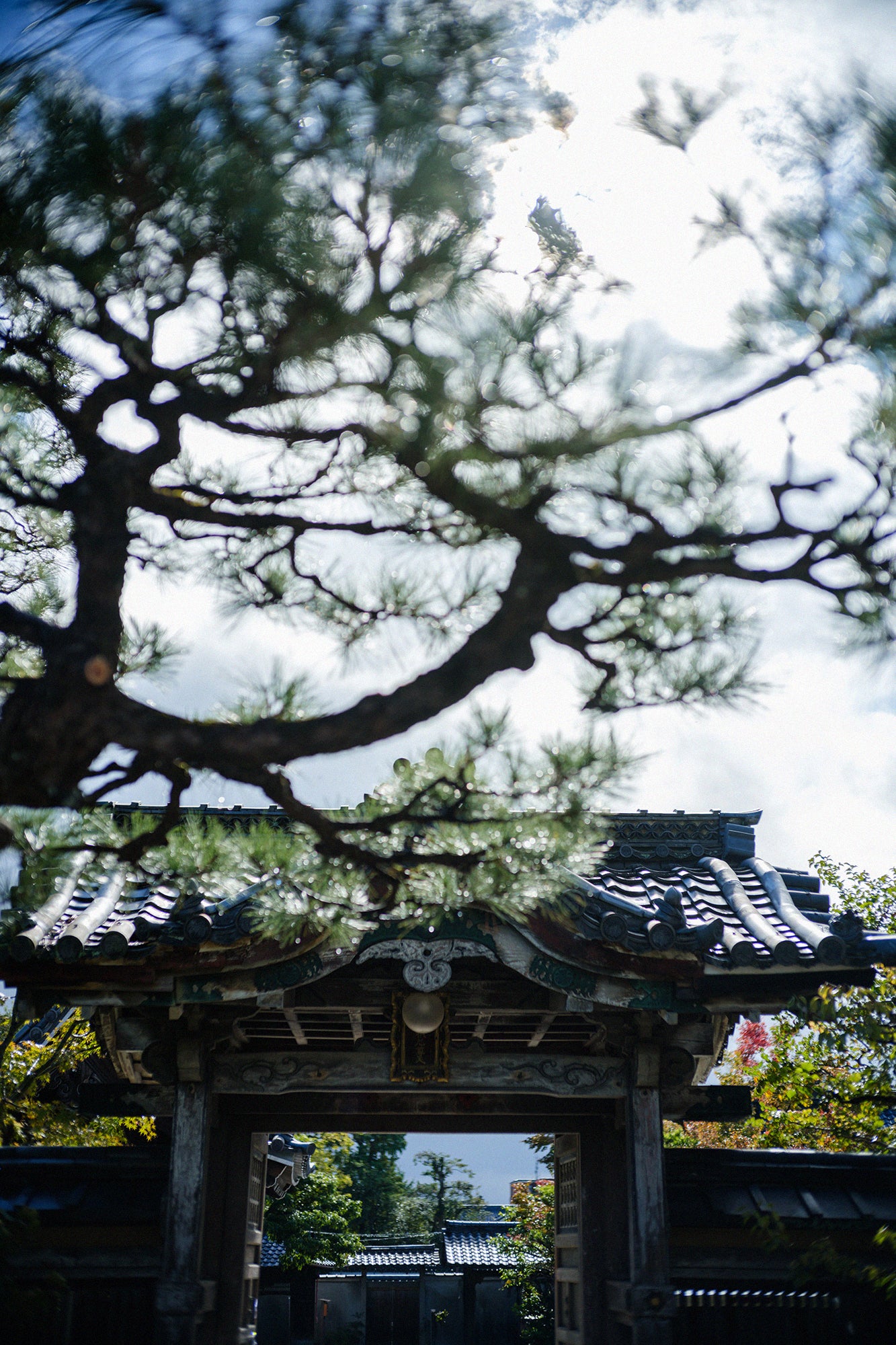 [Réservation] Tour de cou Jiban/Saisai (*Expédition prévue vers le 25 novembre)