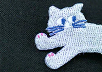 ornement de broderie