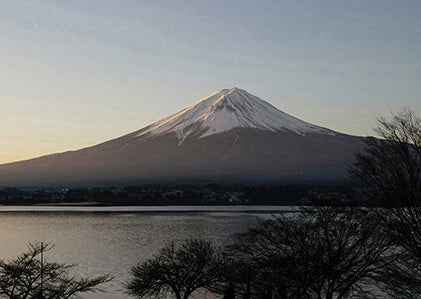Fuji Takashima